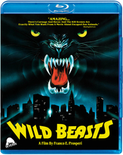 Wild Beasts (US Import)