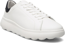 U Spherica Ec4.1 A Low-top Sneakers White GEOX