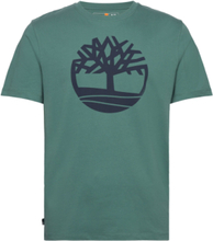 Kennebec River Tree Logo Short Sleeve Tee Sea Pine Designers T-Kortærmet Skjorte Green Timberland