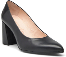 Viviana Shoes Heels Pumps Classic Black Wonders
