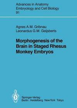 Morphogenesis of the Brain in Staged Rhesus Monkey Embryos