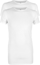 Cavello T-shirt 2-Pack White O-Neck