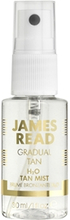 James Read H2O Tan Mist Face 30 ml