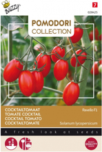 Tomaten Ravello F1 - Pomodori Collection