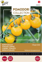 Tomaten Cereza amarilla - Pomodori Collection