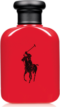 Polo Red EdT 40 ml