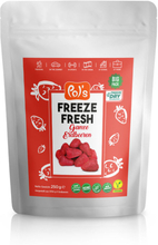 Pol's Freeze Fresh Ganze Erdbeeren, gefriergetrocknet