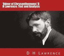 Odour of Chrysanthemums' D H Lawrence: Text and Analysis