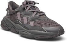 "Ozweego J Sport Sports Shoes Running-training Shoes Grey Adidas Originals"