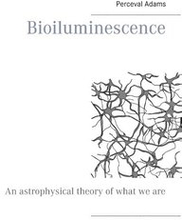 Bioiluminescence : An Astrophysical theory of what we are, and what we will