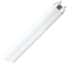 Bailey | LED PL-S lamp | | 4,5W (vervangt 39W) Mat Koel-Wit
