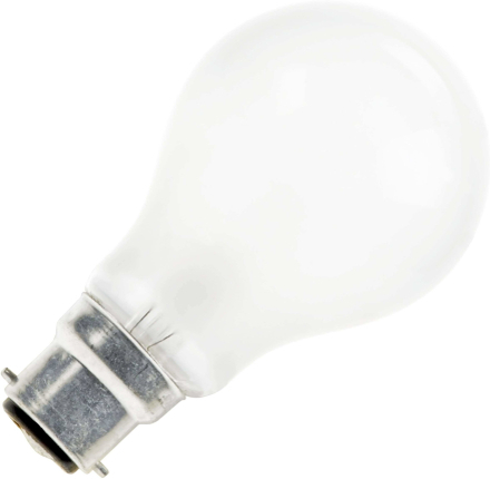 Buislamp colorenta helder 60W grote fitting E27 315mm