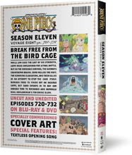 One Piece: Season 11 Voyage 8 (US Import)