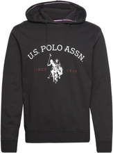 Uspa Sweatshirt Carl Men Tops Sweatshirts & Hoodies Hoodies Black U.S. Polo Assn.