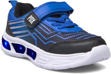 Flash Pax Shoes Sports Shoes Running-training Shoes Blue PAX