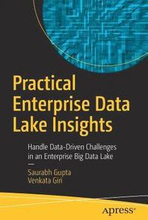 Practical Enterprise Data Lake Insights