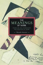 Meanings Of Work, The: Essays On The Affirmation And Negation Of Work