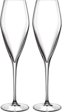 LB Atelier champagneglas Prosecco 2-pack 2 st/paket