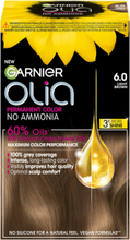 Garnier Olia 6.0 Golden Light Brown Beauty Women Hair Care Color Treatments Brown Garnier