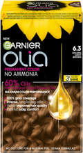 Garnier Olia 6.3 Golden Light Brown Beauty Women Hair Care Color Treatments Brown Garnier