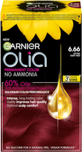 Garnier Olia 6.66 Carmin Beauty Women Hair Care Color Treatments Nude Garnier