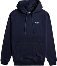 Arch Po Sport Sweatshirts & Hoodies Hoodies Navy Billabong