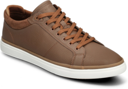 Finespec Low-top Sneakers Brown ALDO