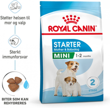 Royal Canin Mini Starter Mother & Babydog (4 kg)