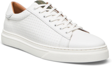 "Brian Low-top Sneakers White Playboy Footwear"