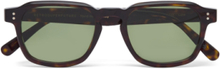 Luce 3627 Green Accessories Sunglasses D-frame- Wayfarer Sunglasses Brown RetroSuperFuture
