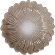 Dagny Bowl Small Home Decoration Decorative Platters Beige Sagaform