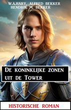 De koninklijke zonen uit de Tower: historische roman