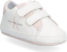 Low Cut Velcro Shoe Shoes Pre-walkers - Beginner Shoes White Calvin Klein