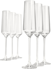 Table Top Stories - Celebration champagneglass 19 cl 6 stk