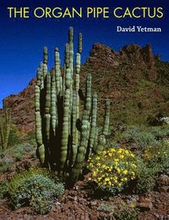 The Organ Pipe Cactus