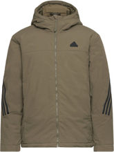 Future Icons Insulated Jacket Vattert Jakke Kakigrønn Adidas Sportswear*Betinget Tilbud