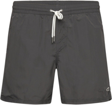 Vert 16'' Swim Shorts Sport Shorts Grey O'neill