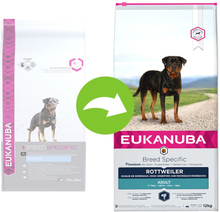Eukanuba Adult Breed Specific Rottweiler - Sparpaket: 2 x 12 kg