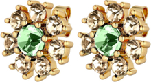 Aude Sg L.green/Golden Accessories Jewellery Earrings Studs Green Dyrberg/Kern