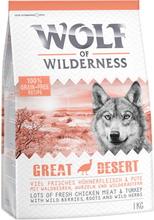 Zum Sonderpreis! Wolf of Wilderness Trockenfutter 2 x 1 kg - Great Desert - Pute