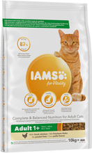 Zum Sonderpreis! IAMS Katzenfutter 10 kg / 15 kg - Vitality Ausgewachsene Katzen mit Huhn (10 kg)