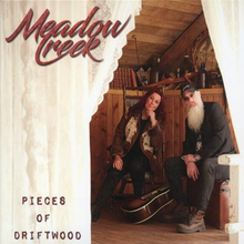 Meadow Creek: Pieces of driftwood 2020