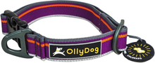 OllyDog OllyDog Urban Trail Reflective Collar Wild Aster Hundeseler & hundehalsbånd M