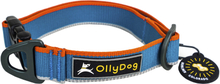 OllyDog OllyDog Urban Trail Reflective Collar Air Blue Hundeseler & hundehalsbånd L