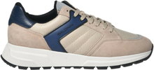 Low-top trainers in beige suede and fabric