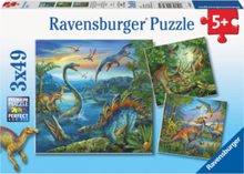 Dinosaurer 3X49P Toys Puzzles And Games Puzzles Classic Puzzles Multi/mønstret Ravensburger*Betinget Tilbud
