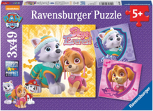 Paw Patrol Søte Valper 3X49P Toys Puzzles And Games Puzzles Classic Puzzles Multi/mønstret Ravensburger*Betinget Tilbud