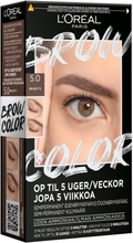 L'Oréal Paris Brow Color Brunette 5.0 - 1 stk