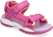 "J Borealis Girl A Shoes Summer Shoes Sandals Pink GEOX"