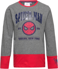 Long-Sleeved T-Shirt T-shirts Long-sleeved T-shirts Grå Spider-man*Betinget Tilbud